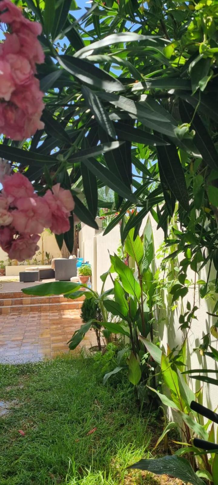 Beautiful Family Villa With Private Swimming Pool Martil Eksteriør bilde